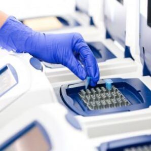 Analiza PCR