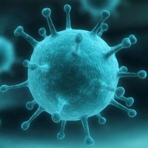 Papilomavirus uman